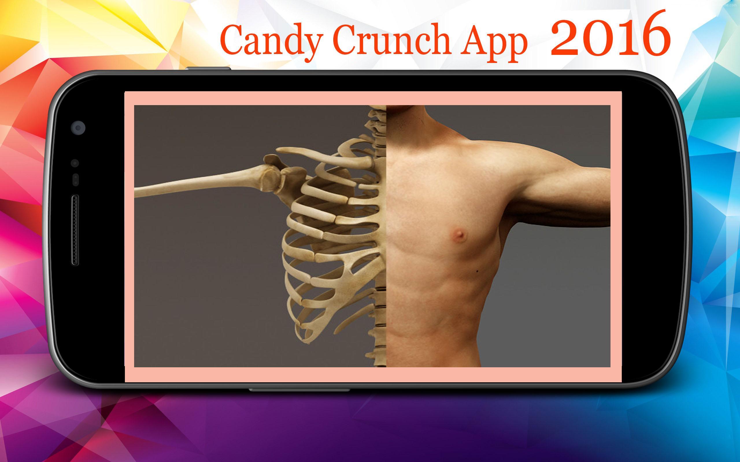 Bone with X-Ray