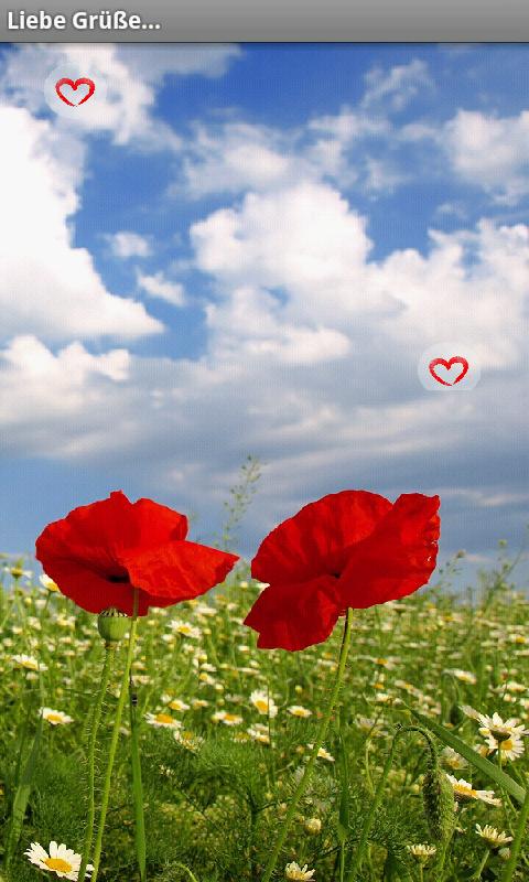 A Word of Love