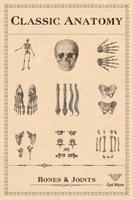 Classic Anatomy