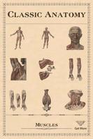 Classic Anatomy