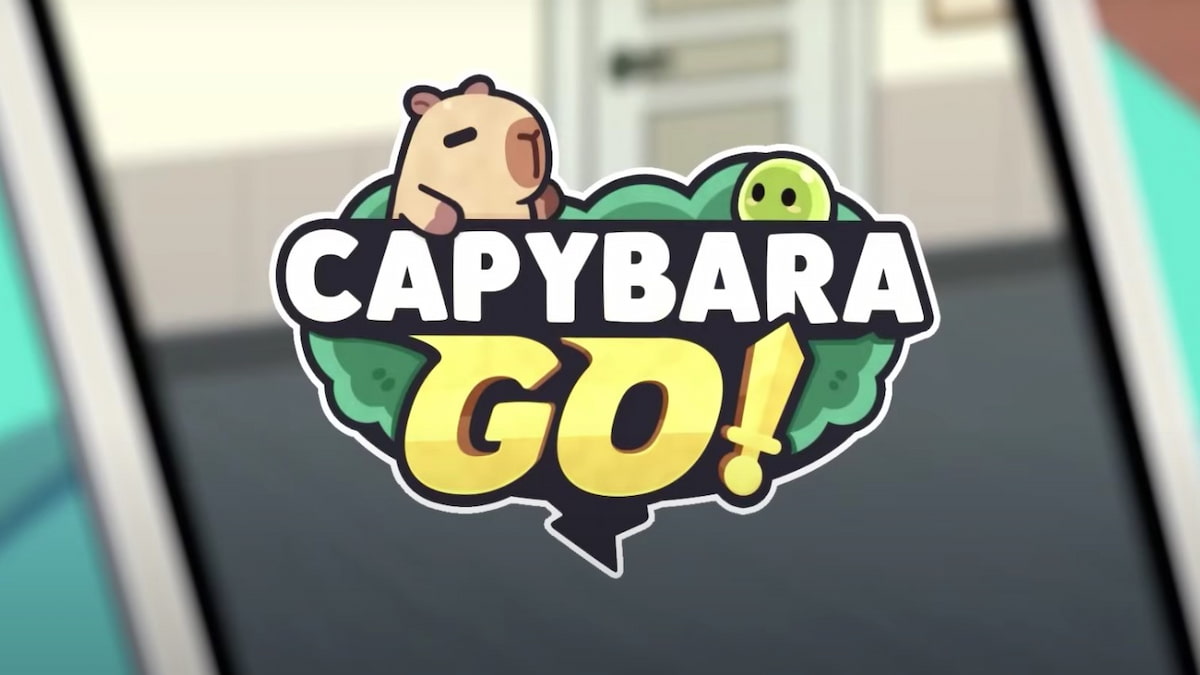 Capybara Go 코드 (2024 년 11 월) 
