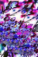 Theme Free Launcher
