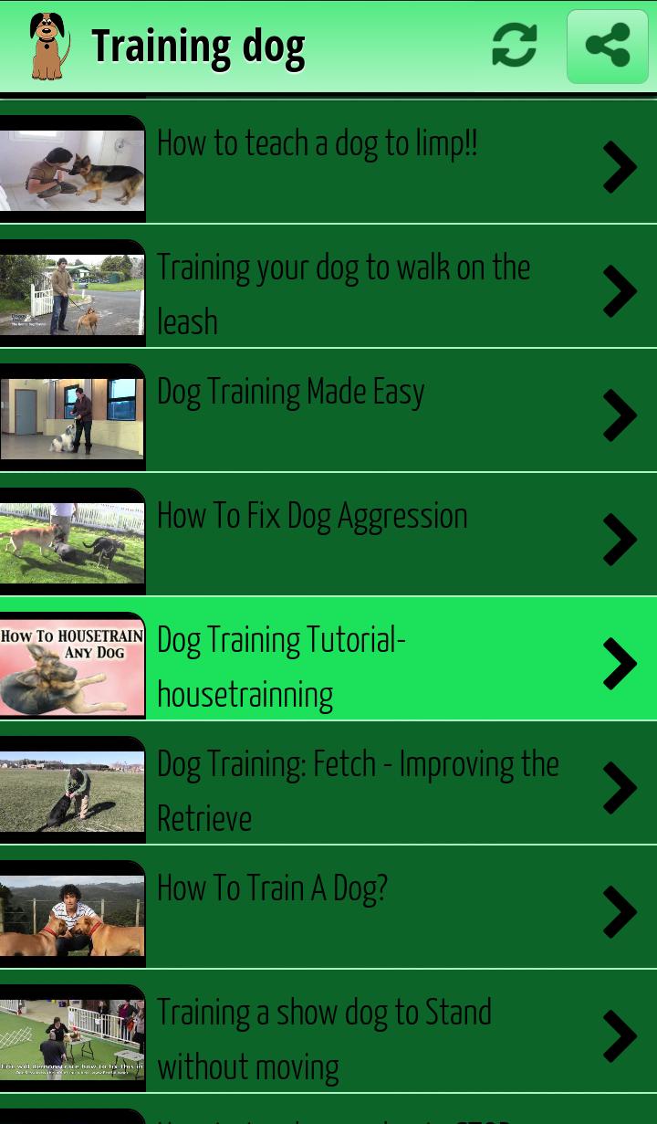 Training dog