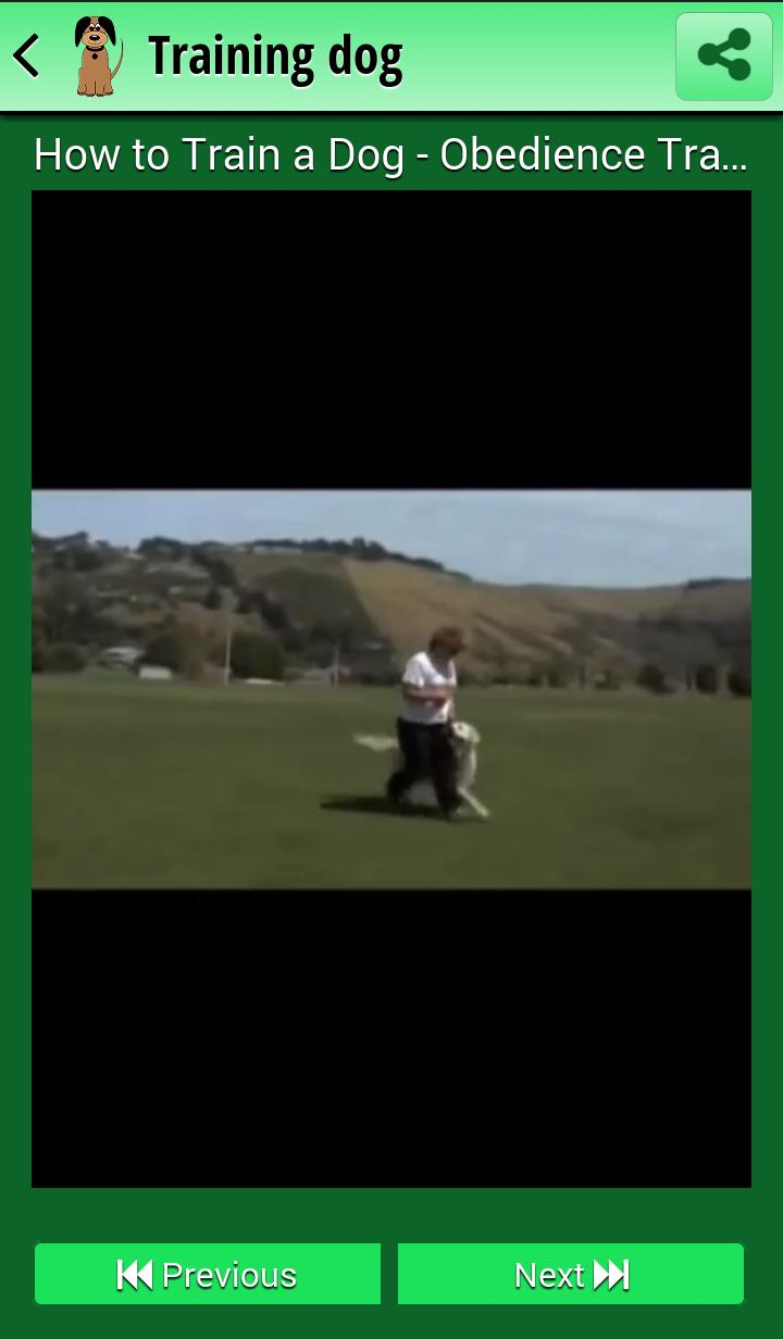 Training dog