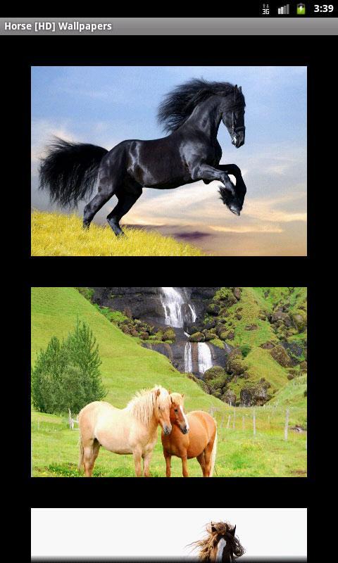 Horse [HD] Wallpapers