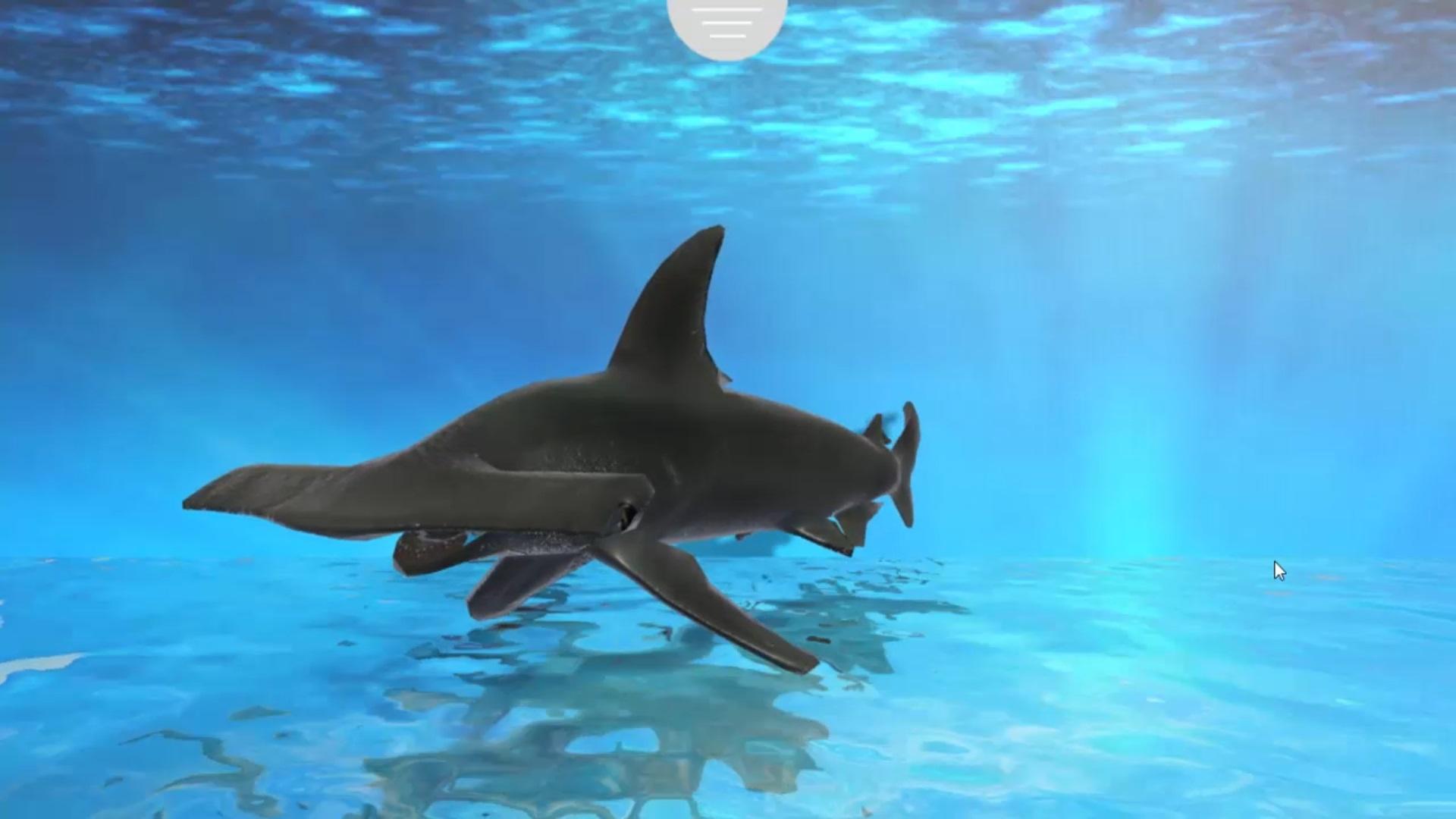 Under water fish