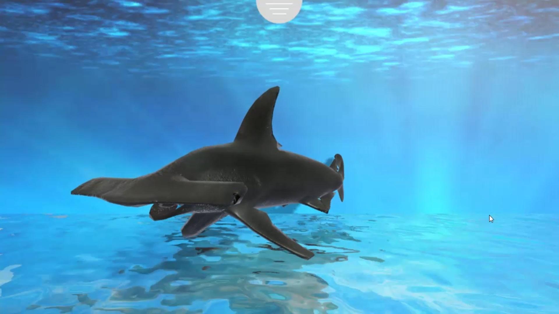 Under water fish