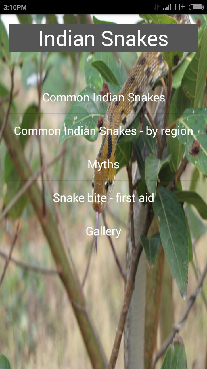 Indian Snakes