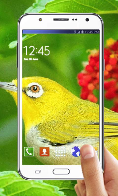 Transparent Screen Fun