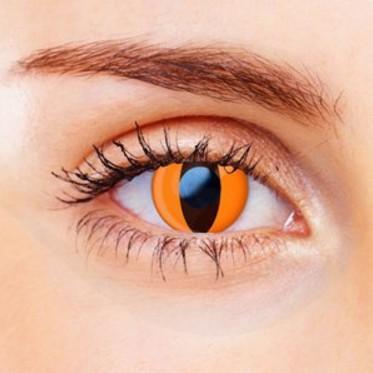 daily contact lenses