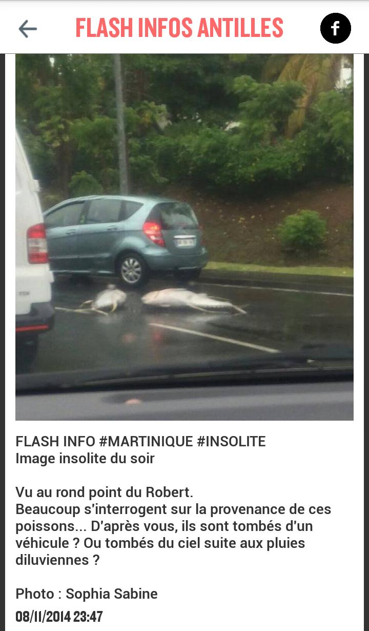 FIA - Flash Infos Antilles