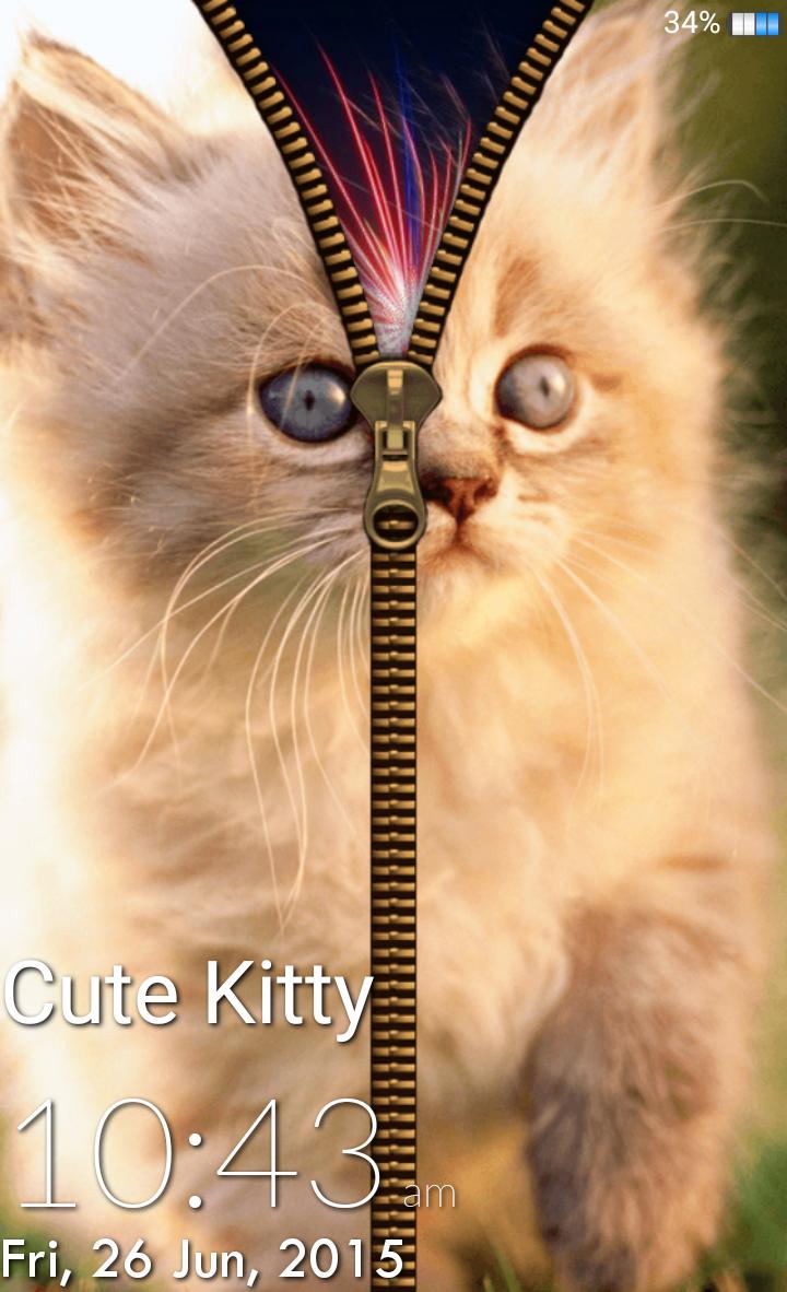 Cute Kitty Zipper Lock Screen