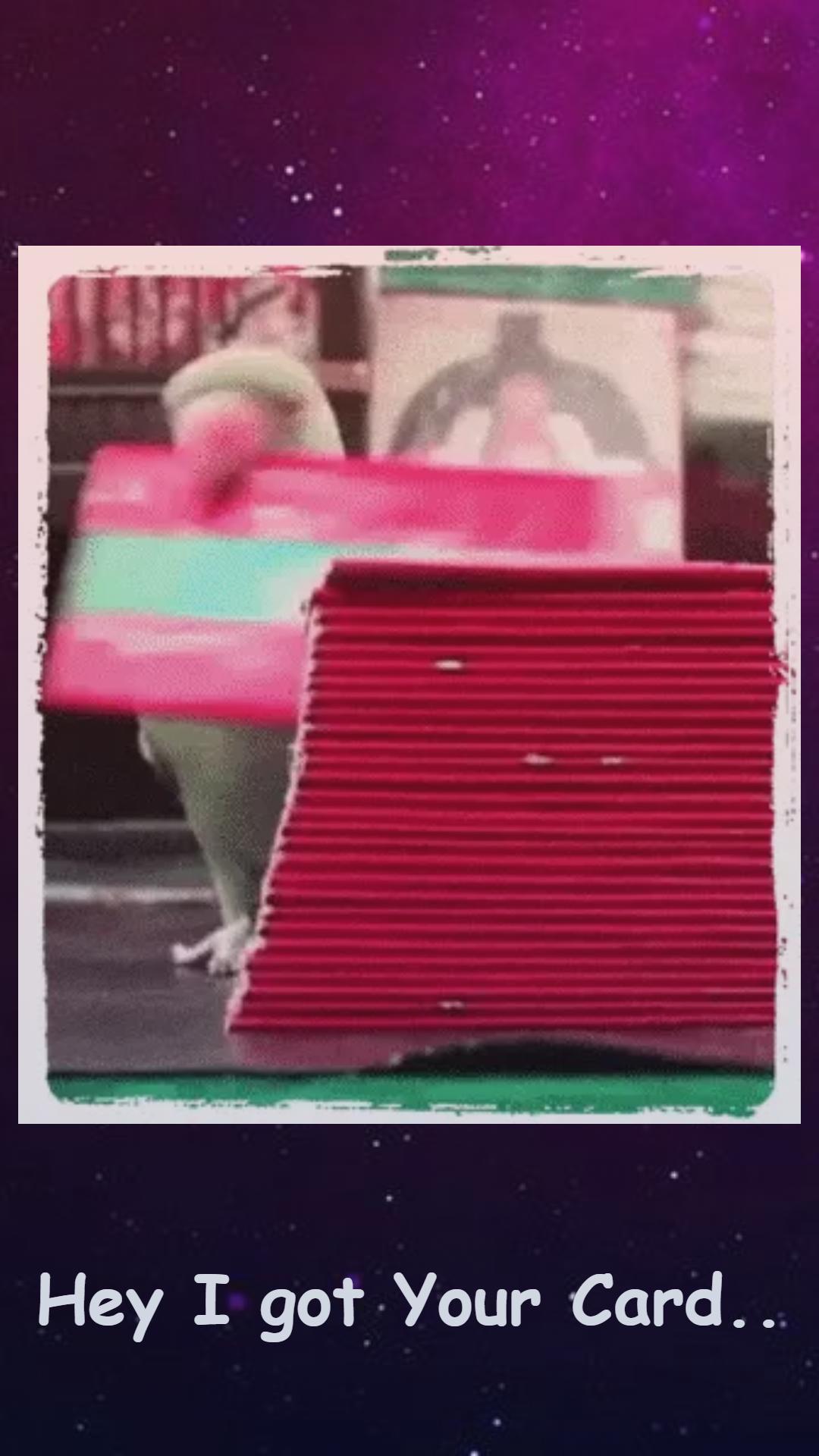 Kili Josiyam Parrot Astrology - Tarot card Reading