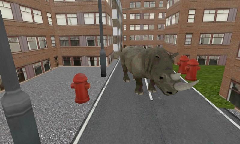 Rhino Simulator