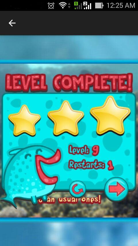 Battle Fish - Ikan Berantem