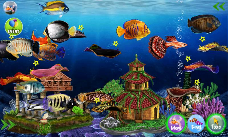 Dream Fish Seasons
