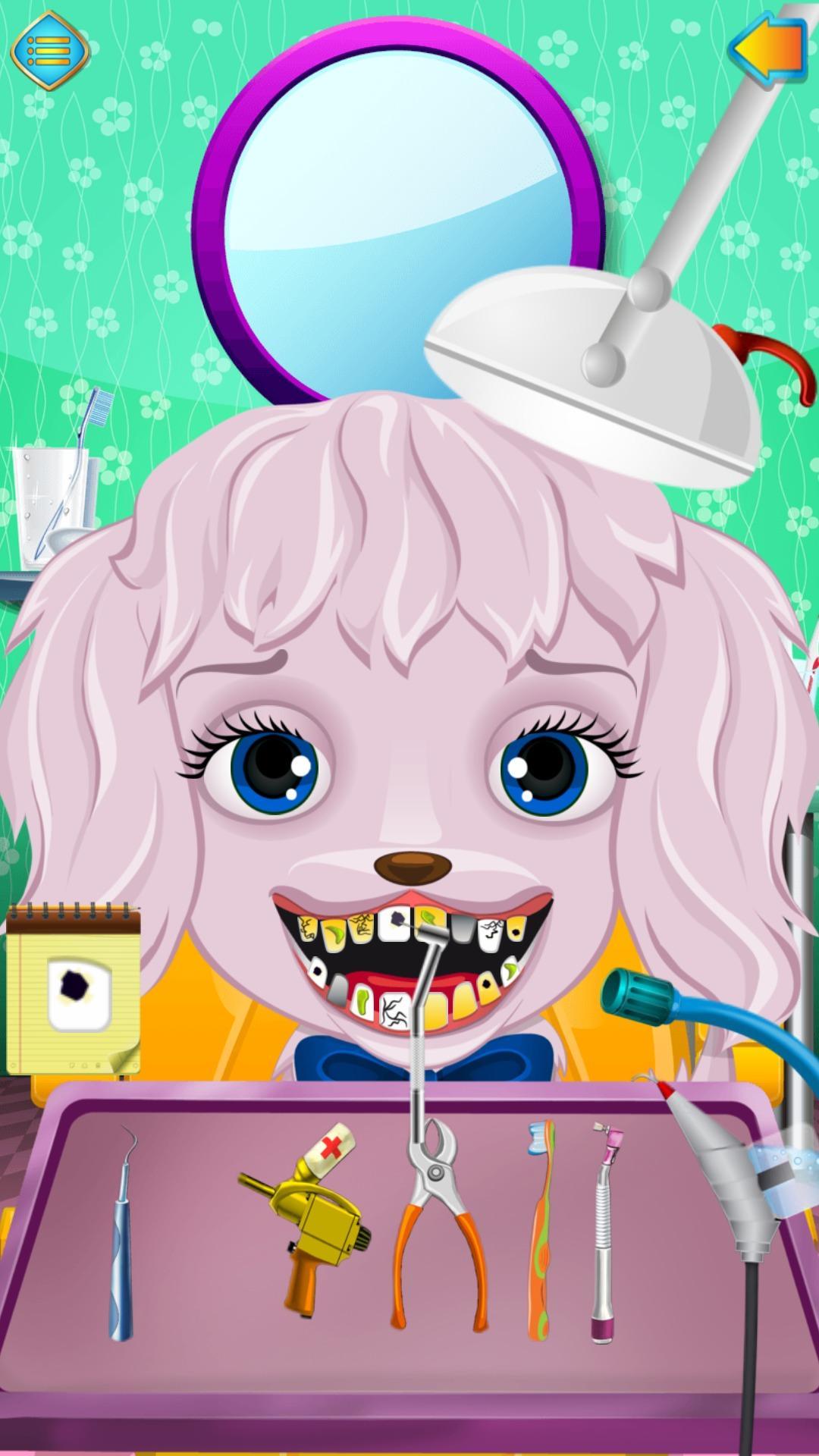 Animal Dental Clinic