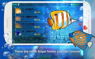 Angel Fish Sprint