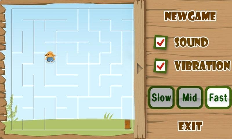 Maze Puzzle Deluxe