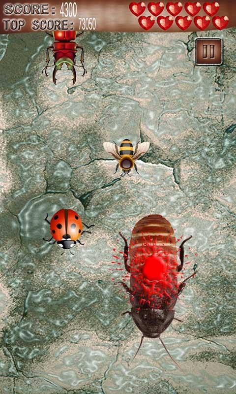 Ant and Bug kill Welt