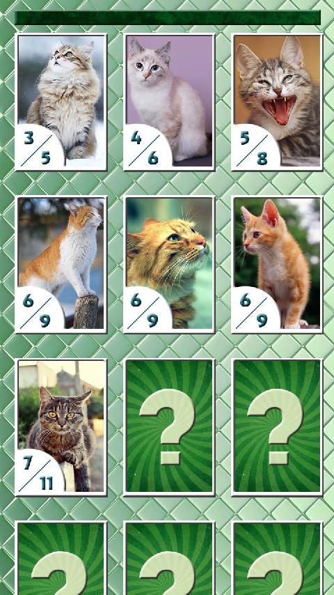 Puzzle Cats