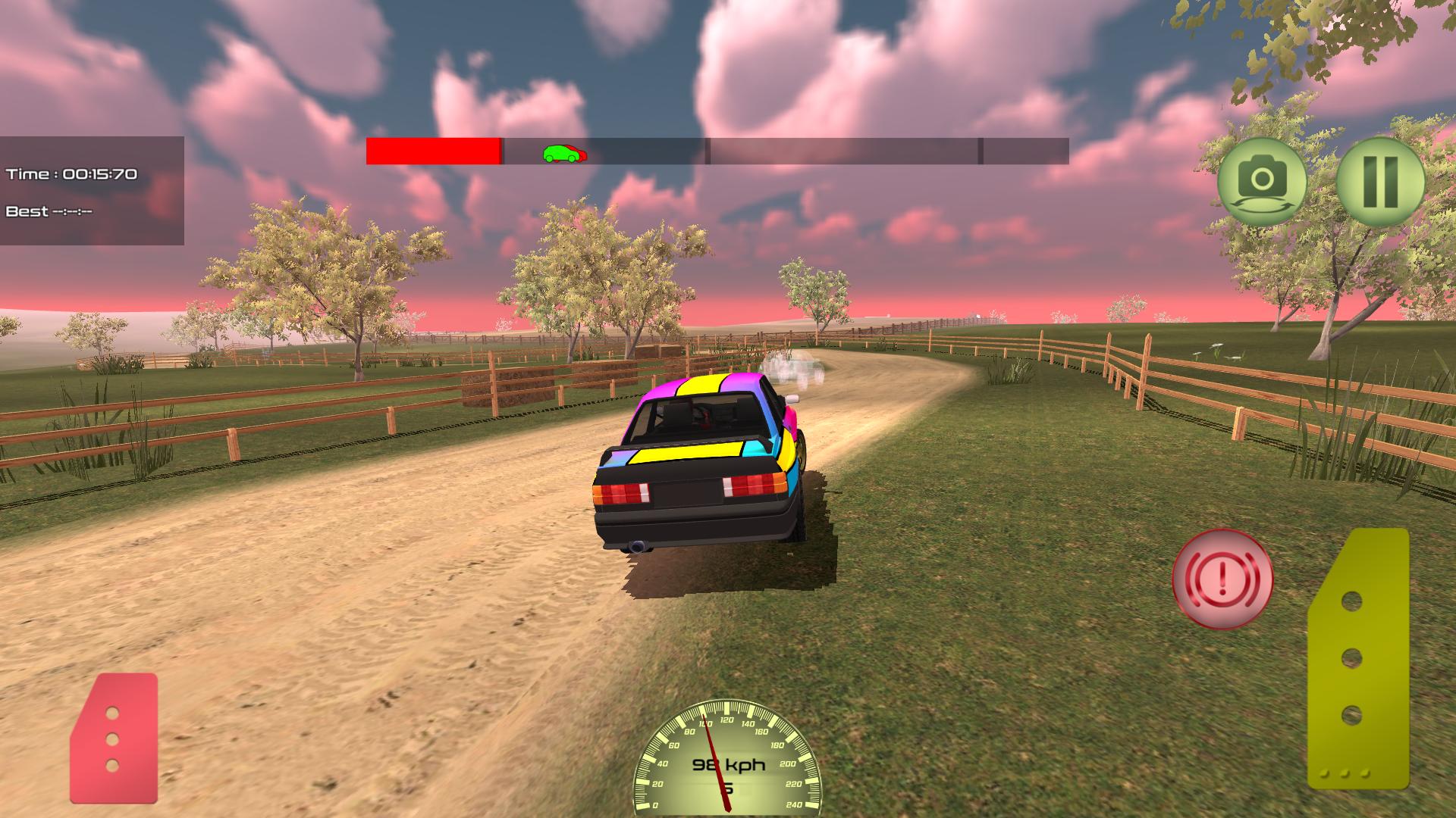 Rally Driver