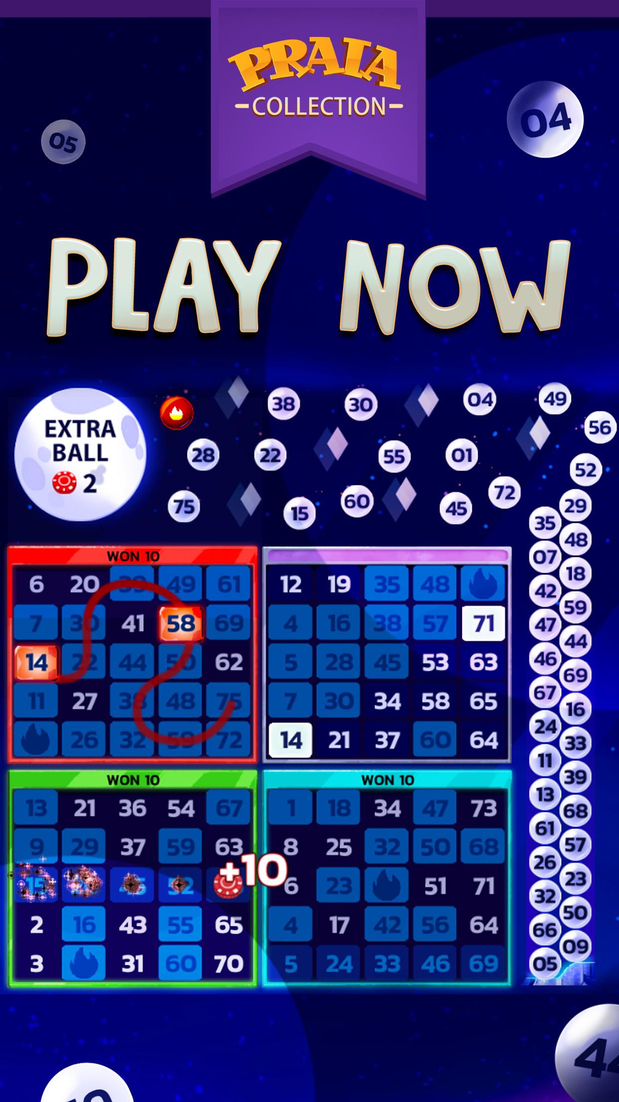 Video Bingo Malibu