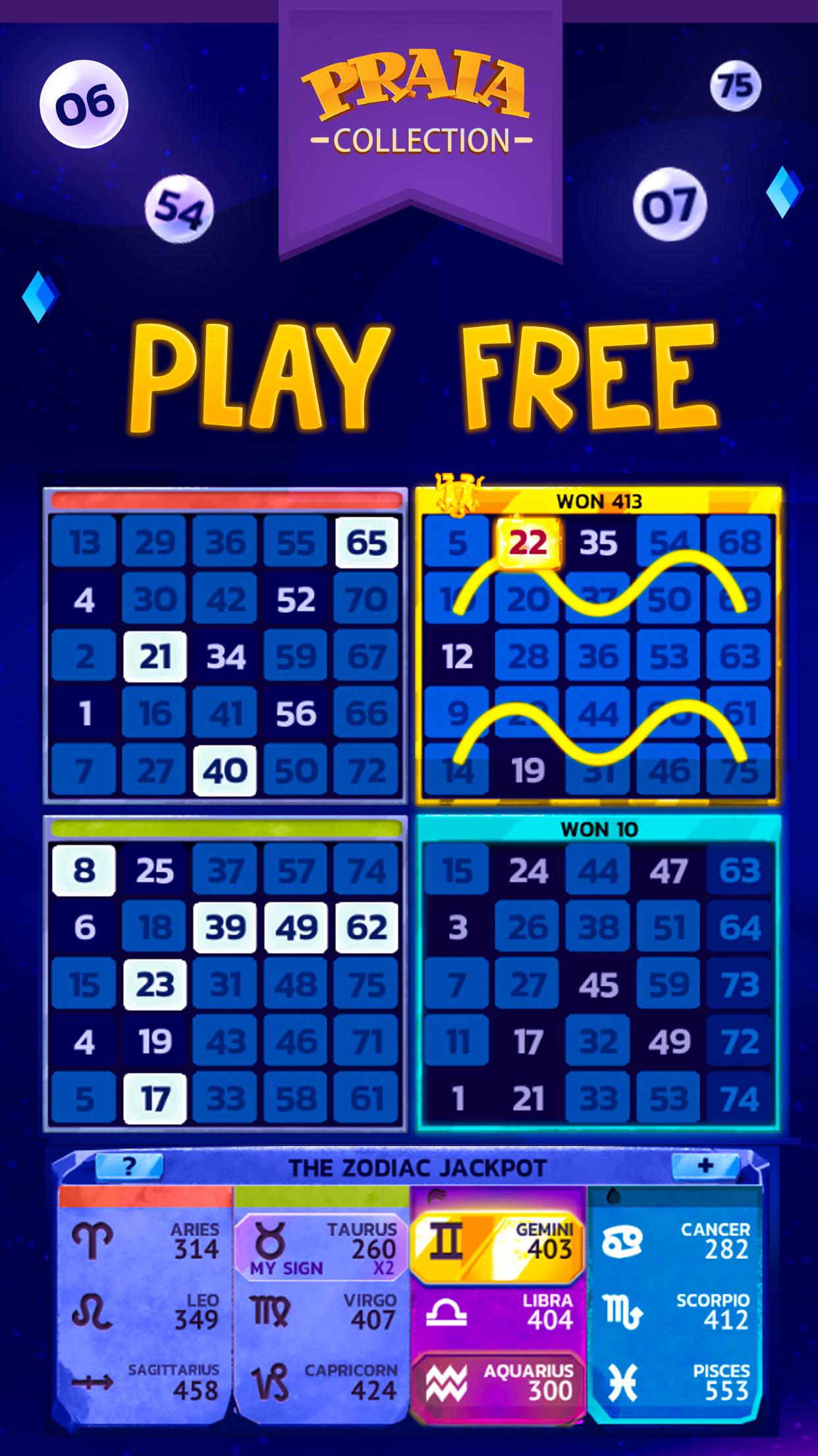 Video Bingo Malibu