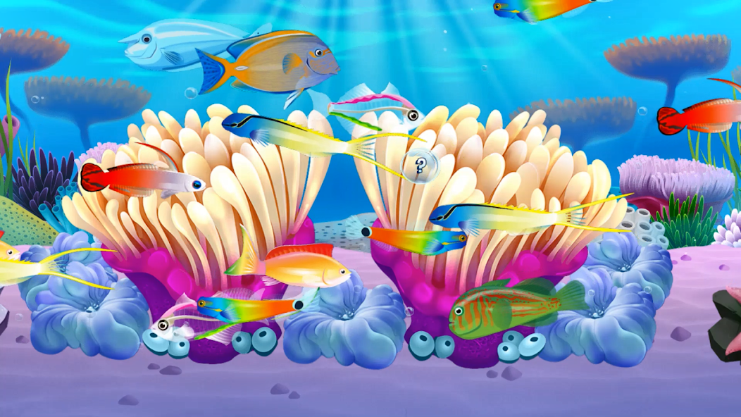 Fish Paradise