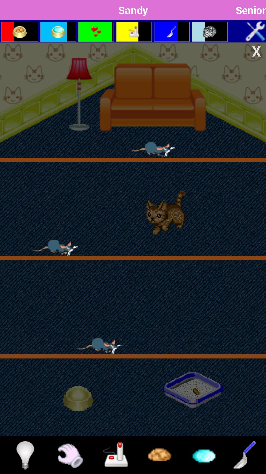 Ocicat Virtual Pet