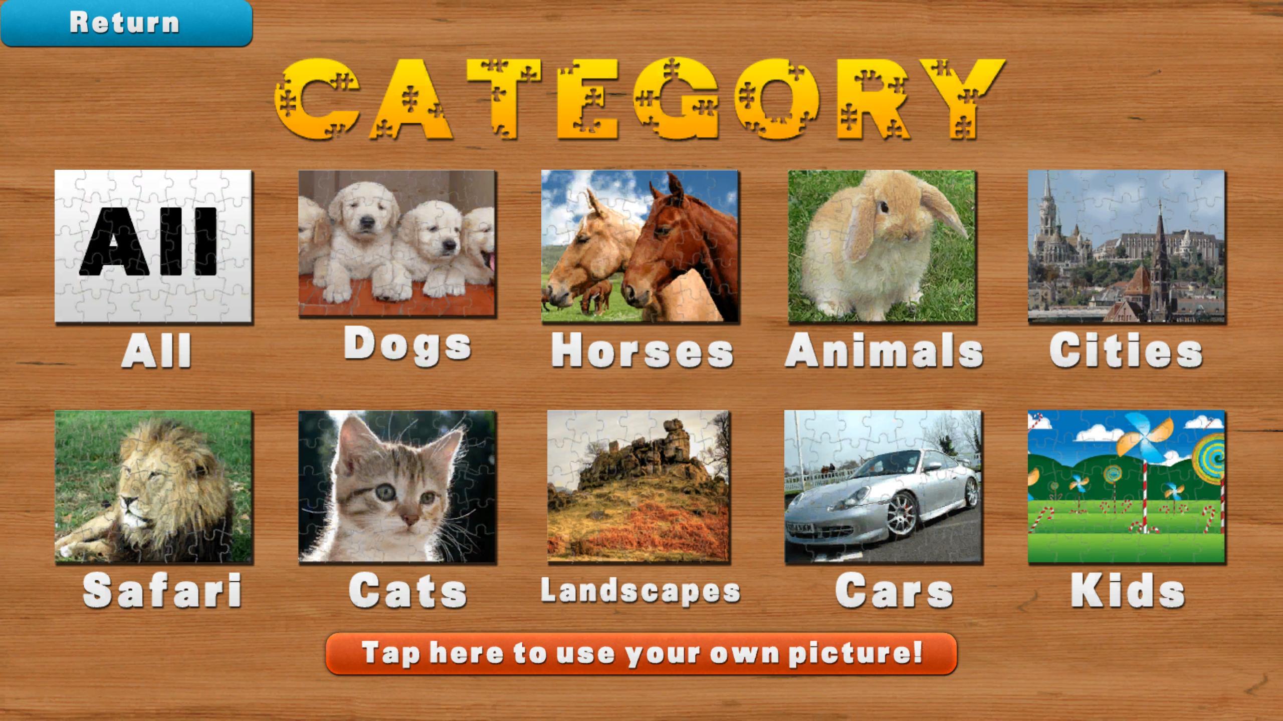 Jigsaw Puzzles!
