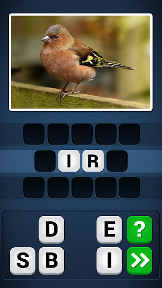PicWords 2