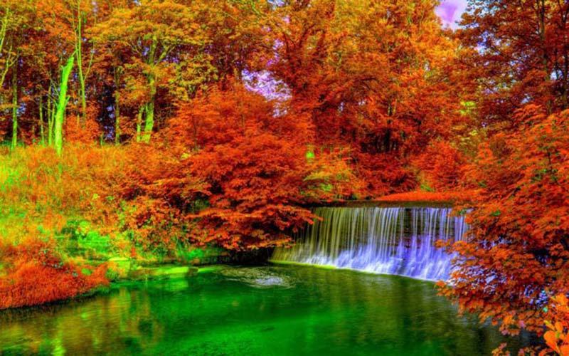 Wonderful Landscape Puzzle