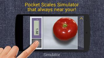 Pocket Scales Simulator 2
