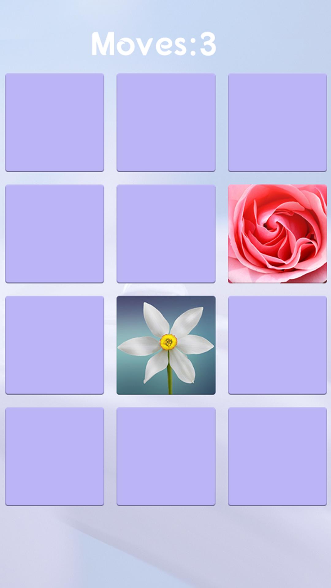 Flower Memory