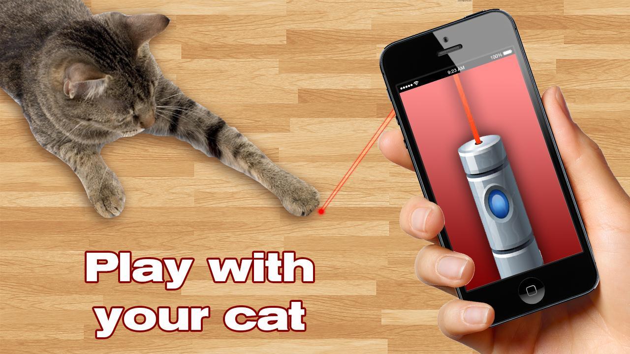 Laser For Cats: New Prank