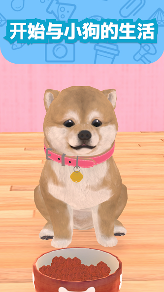 My Dog