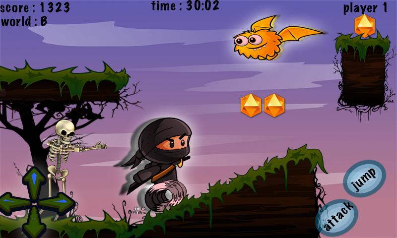 Ninja's World