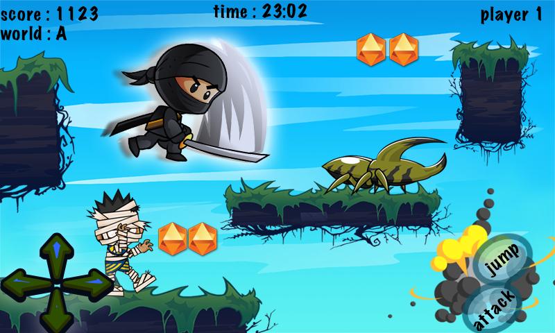 Ninja's World