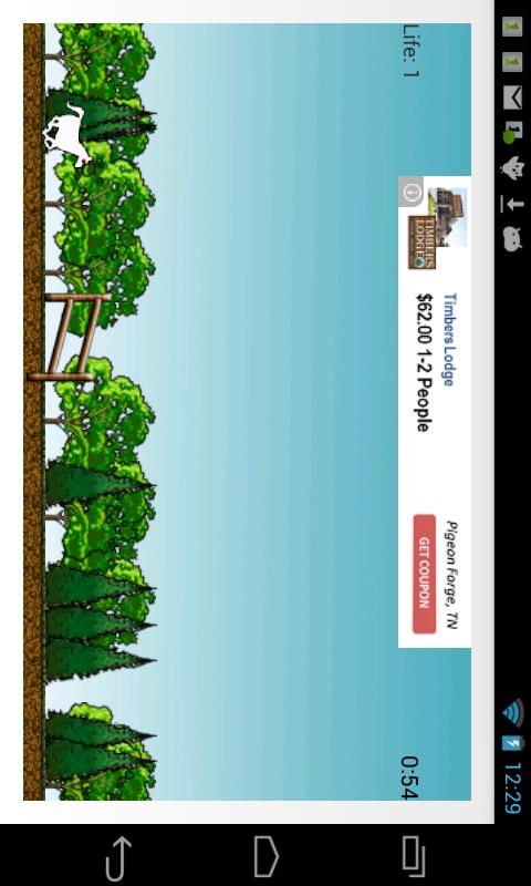 Pony Run