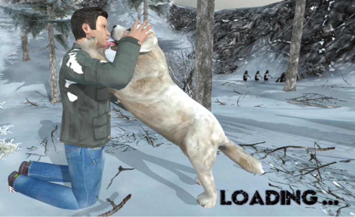 Life Of Snow Dog