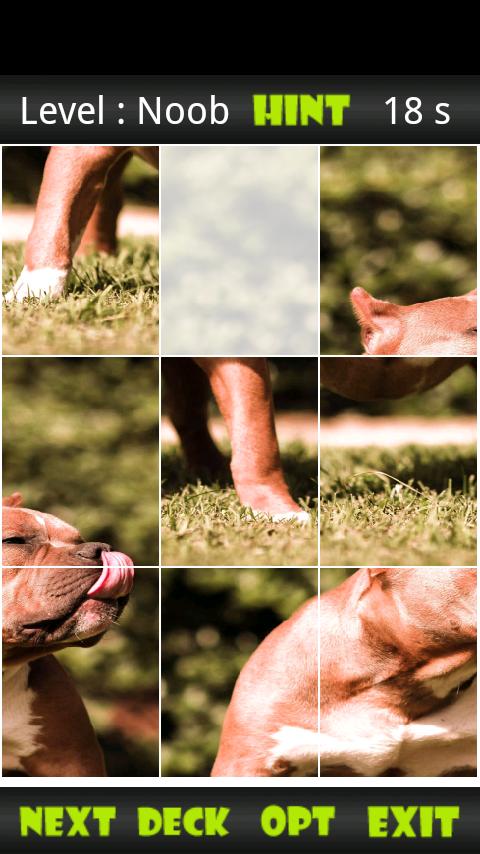 Pitbull Sliding Puzzle