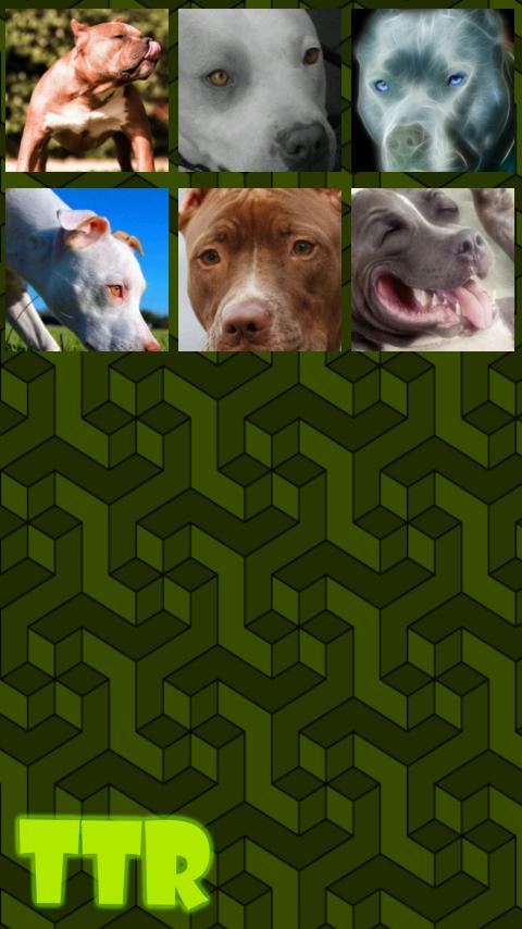 Pitbull Sliding Puzzle