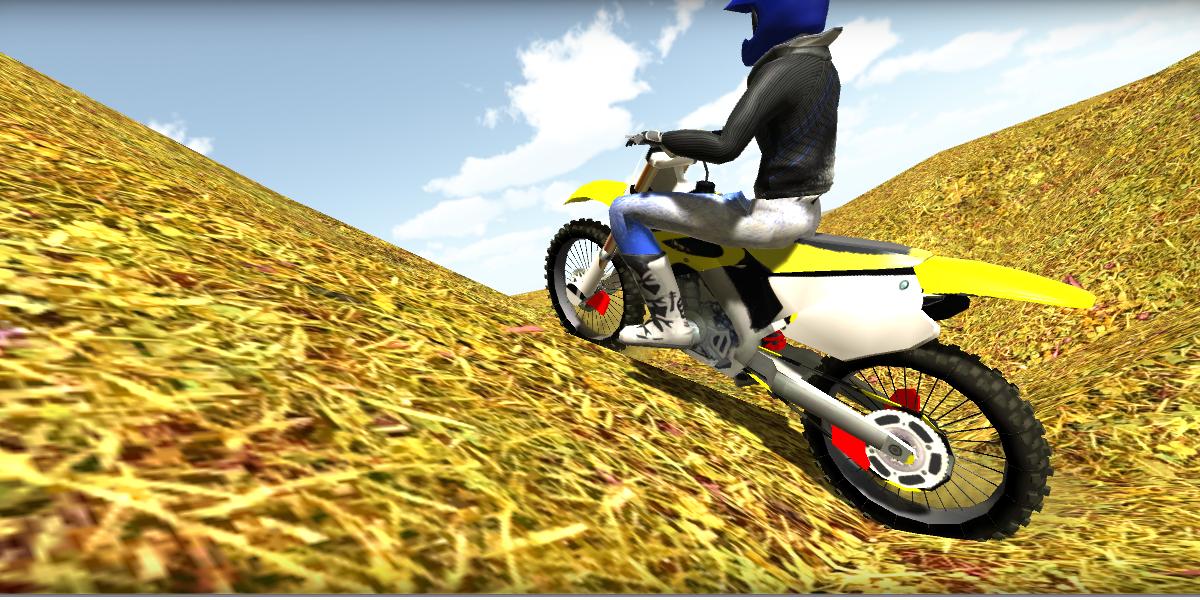Motocross Simulator