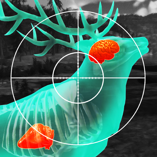 Wild Hunt: Real Hunting Games