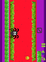Spider Hunt Flies