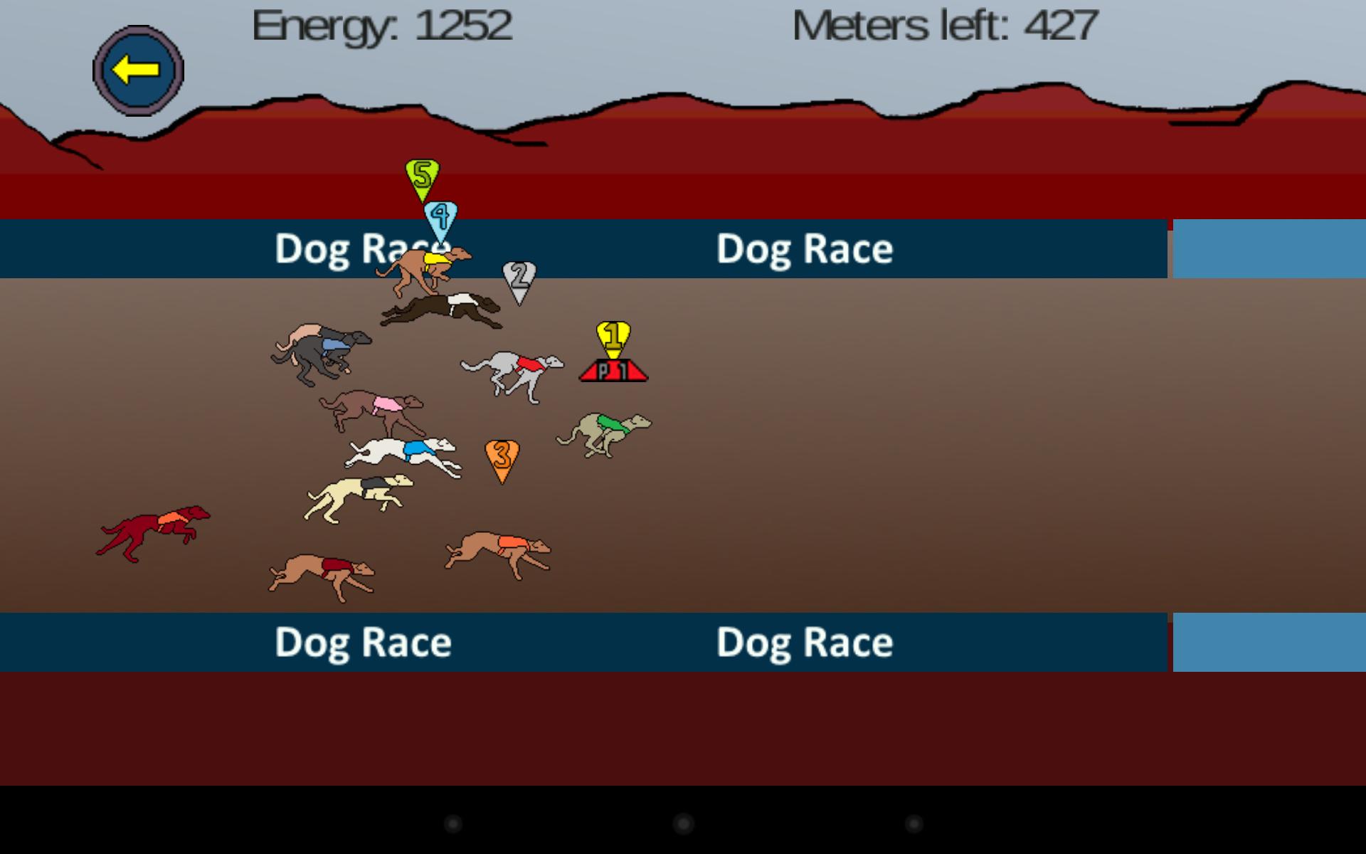 Greyhound Dog Race